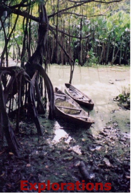 canoeandmangrove_WM