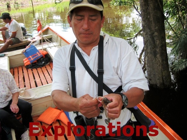 2008 Amazon Safari - 029_WM