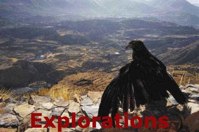 12-31-birdwatchcolca_WM