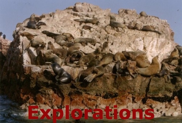 paracas-ballestas-islands_WM