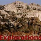 paracas-ballestas-islands_WM