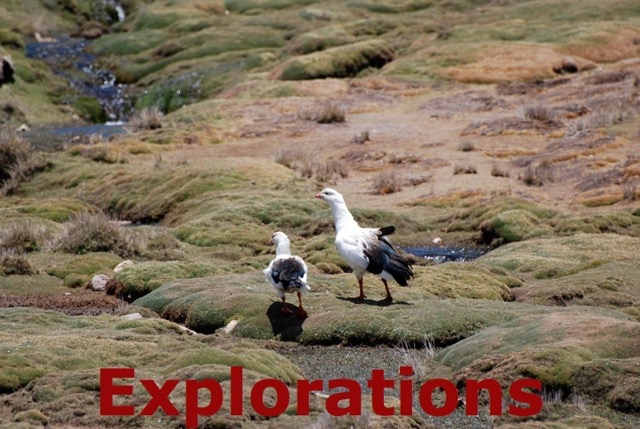 Andes travel, Peru tours-3_WM