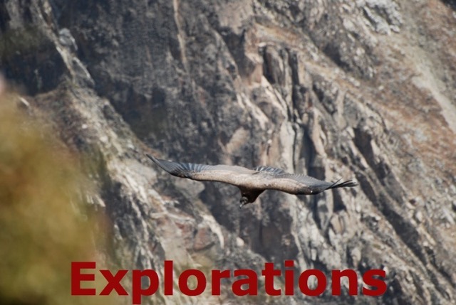 Colca Canyon, Peru tours-9_WM