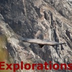 Colca Canyon, Peru tours-9_WM