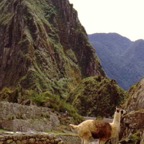 machupichu5_WM